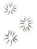 10D Premade Eyes Lash Fans (500 Fans)