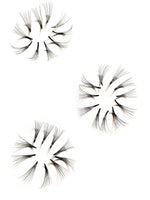 8D Premade Eyes Lash Fans (500 Fans)